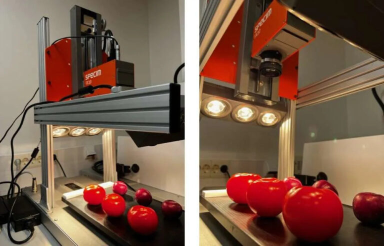 Assessing the ripeness and aging of fruits and vegetables with ...