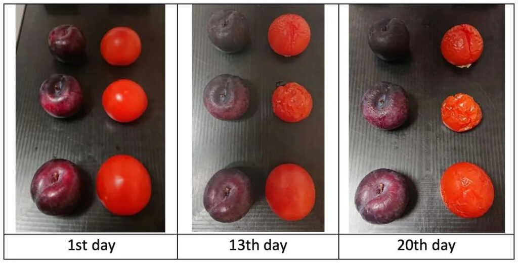 Assessing the ripeness and aging of fruits and vegetables with ...