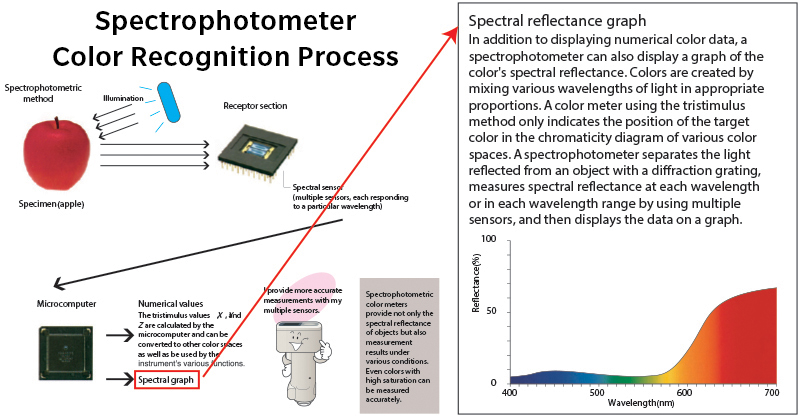 How does a Spectrophotometer Work?