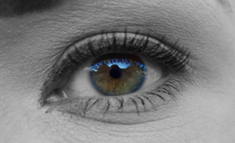 Human Eyesight Capable of Verifying Nanoscale Variations in Color